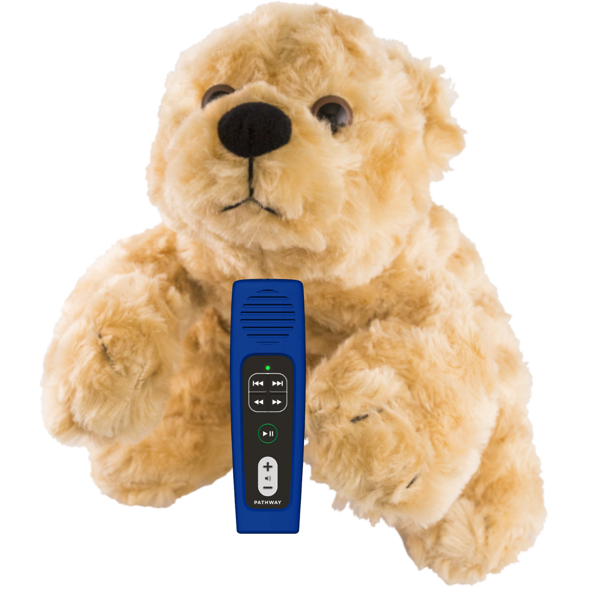 Songs for Saplings Wildlife StoryTeller MegaVoice USA