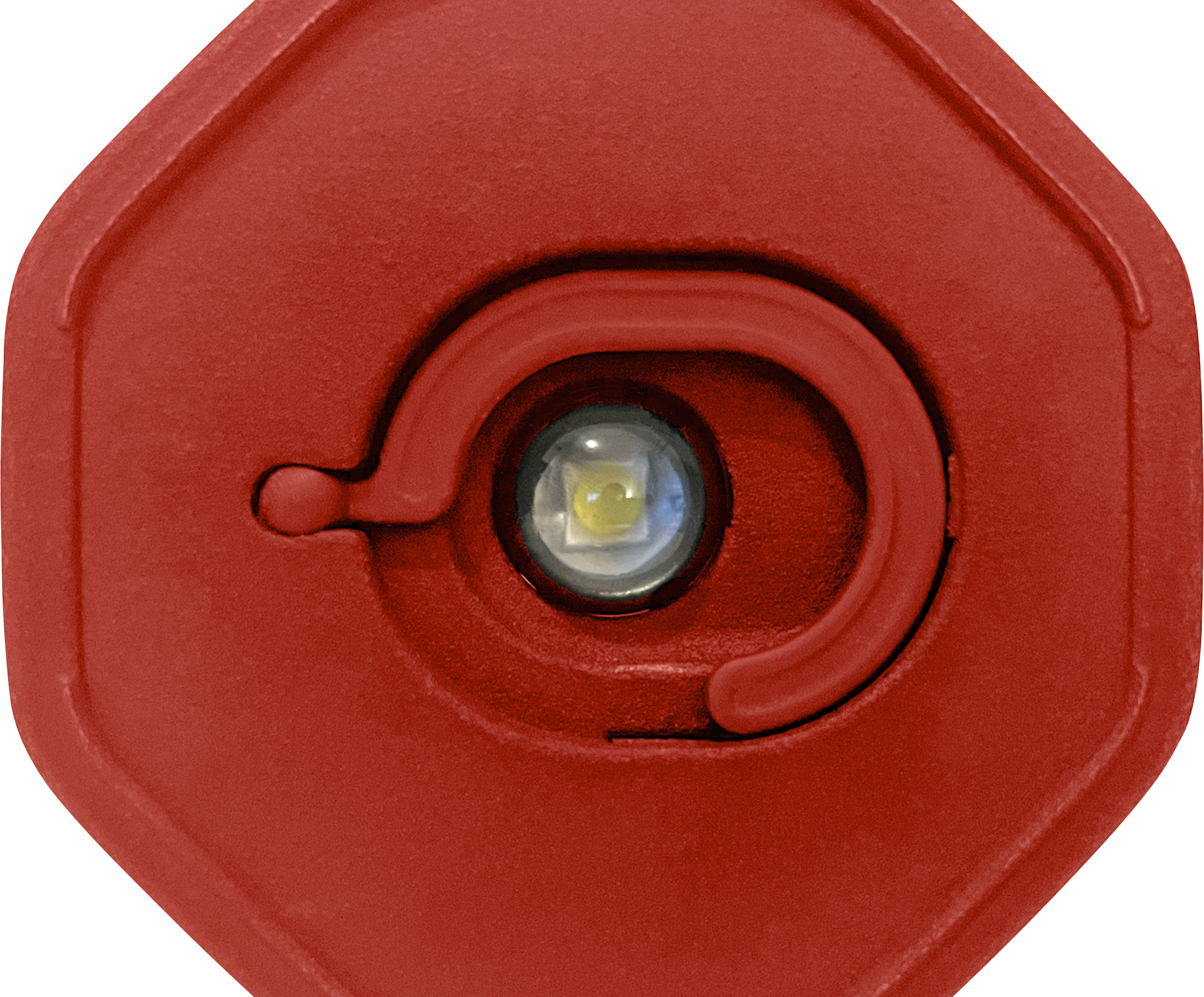 LifeLight MegaVoice USA