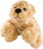 Wildlife StoryTeller Bible for Young Children, Ages 3-7 MegaVoice USA