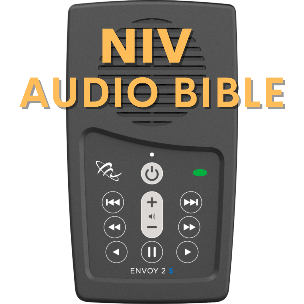 NIV Audio Bible Player by Max Mclean; New International MegaVoice USA